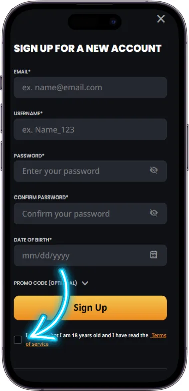 Instant Casino terms acceptance